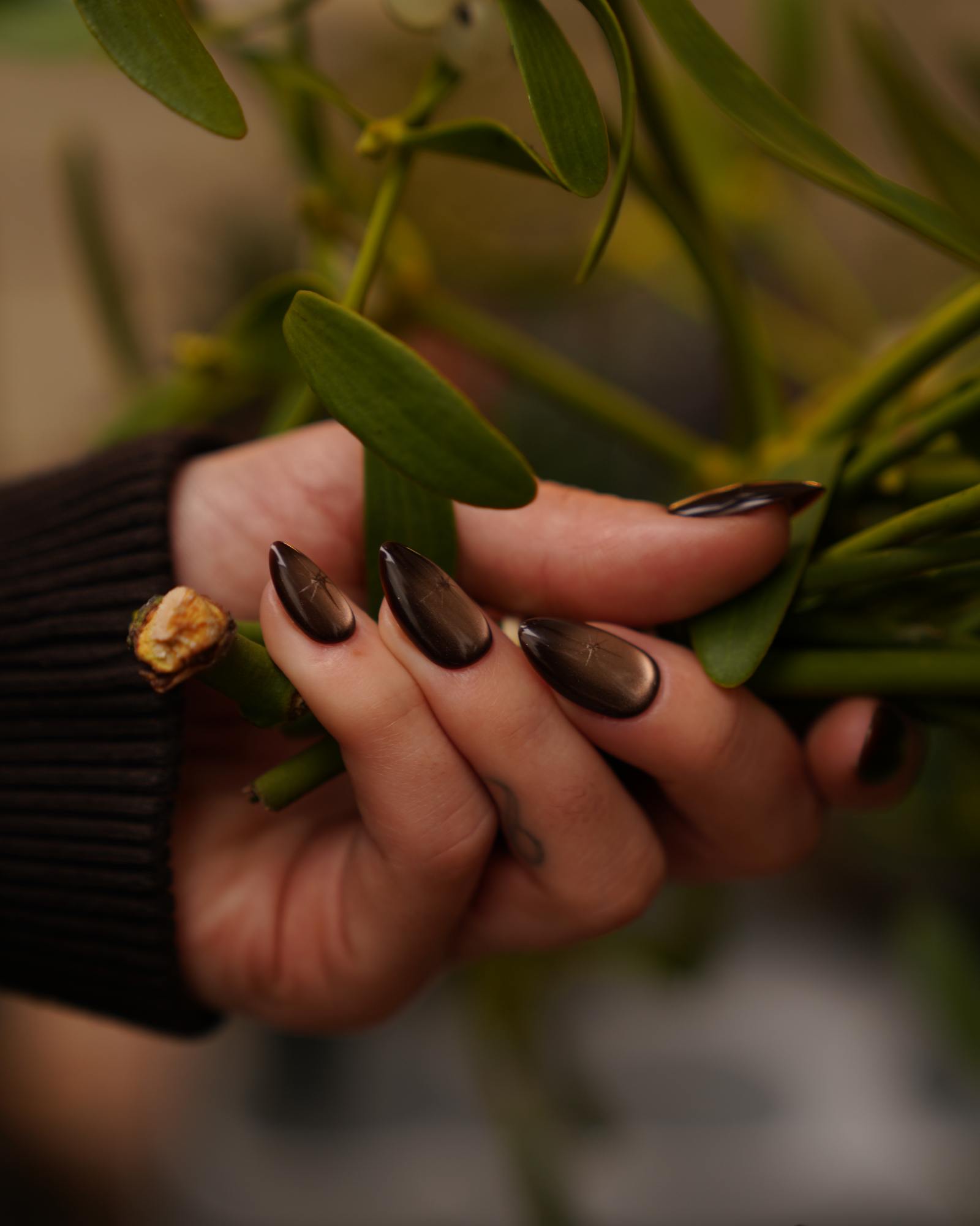 Chestnut Amber Press Ons