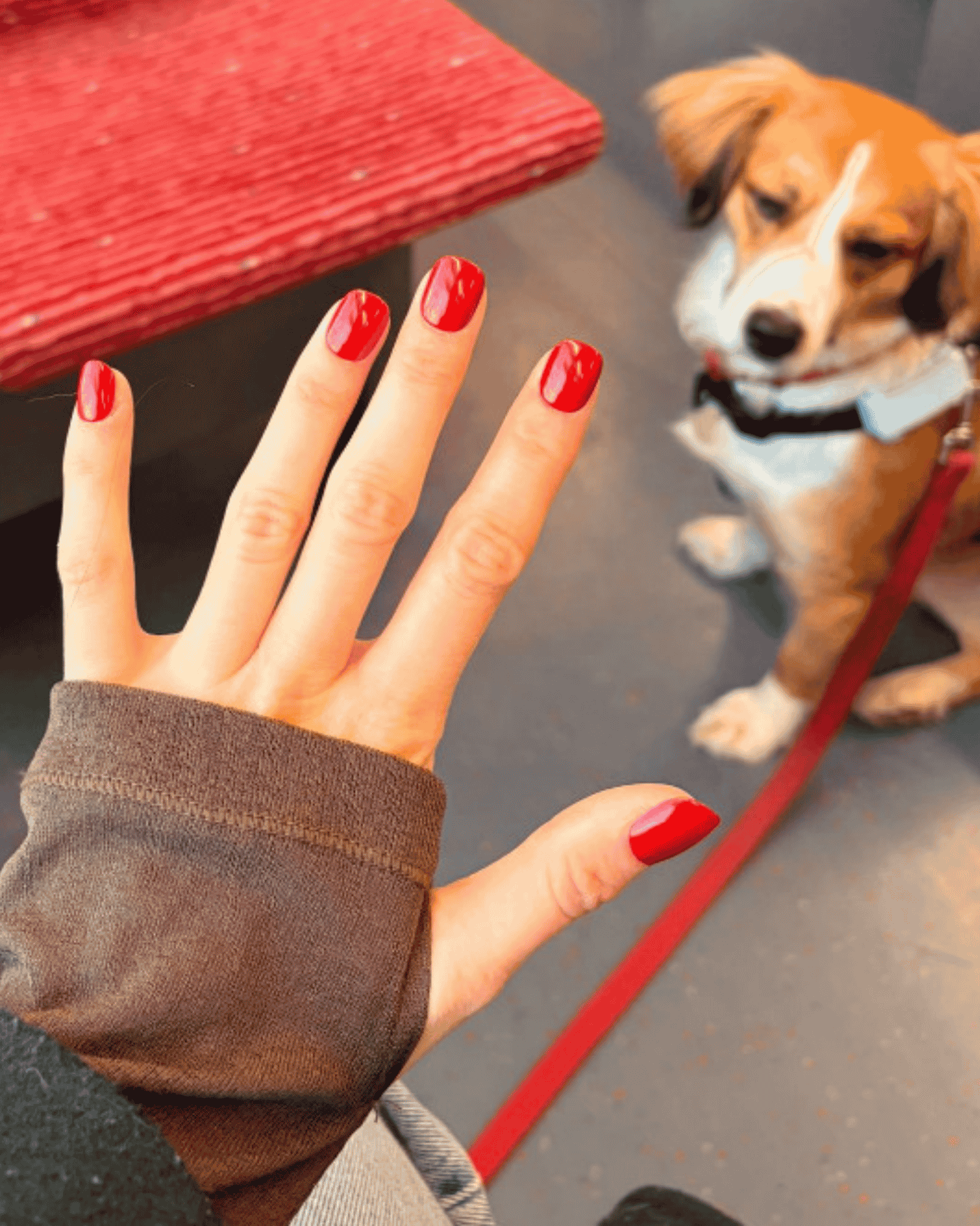 Cherry Red Extra Short Square